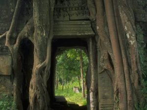 Angkor Wat - Magnificence That Is Angkor 4