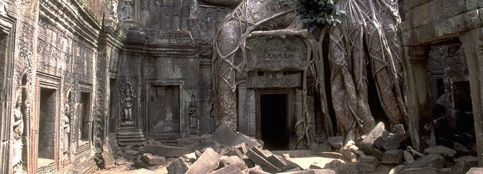 Ruins At Ta Prohm Angkor Cambodia