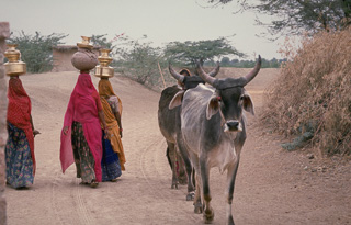Ladies With Water Pots India