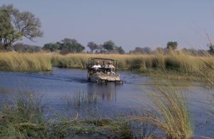 Botswana: African Jewel 3