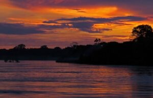 The Amazon River 4