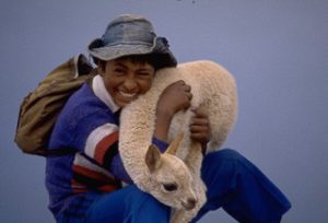 Boy with lamb Altiplano